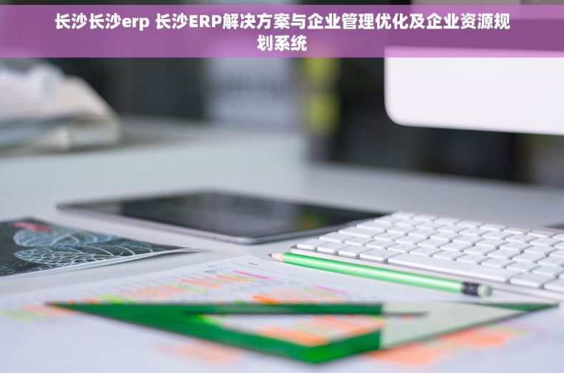 长沙长沙erp 长沙ERP解决方案与企业管理优化及企业资源规划系统