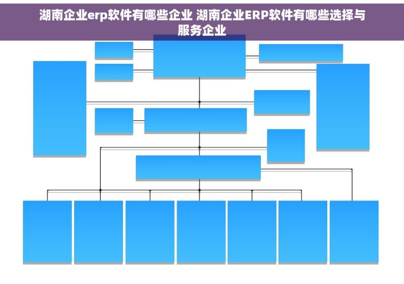 湖南企业erp软件有哪些企业 湖南企业ERP软件有哪些选择与服务企业