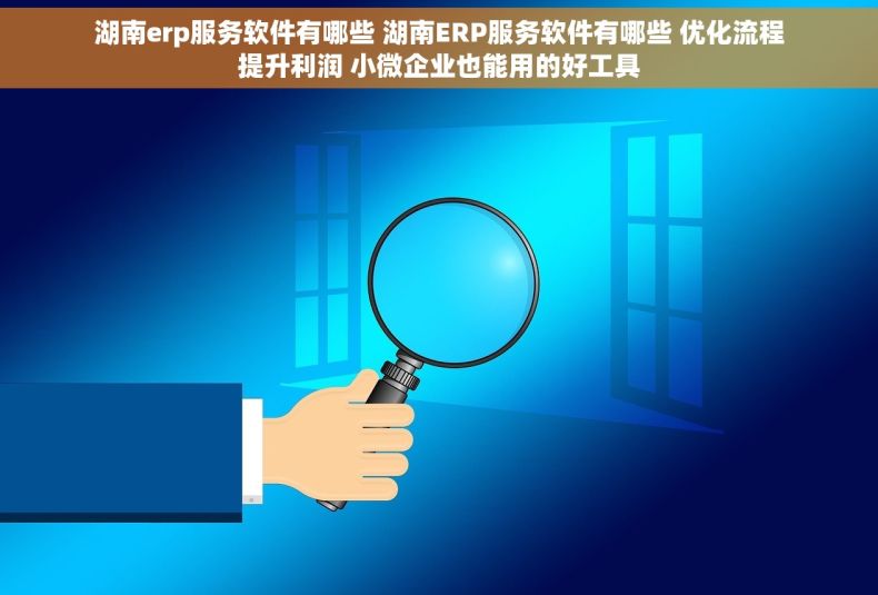 湖南erp服务软件有哪些 湖南ERP服务软件有哪些 优化流程提升利润 小微企业也能用的好工具
