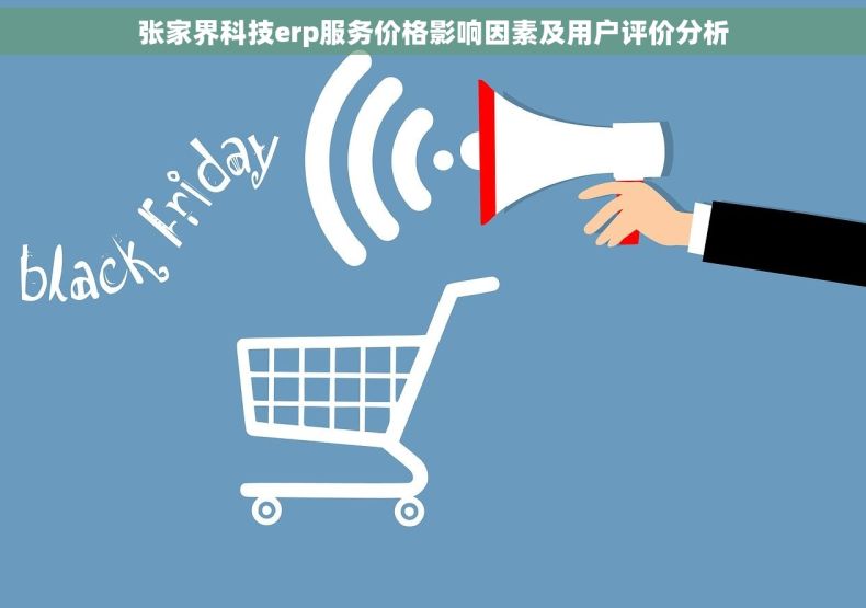 张家界科技erp服务价格影响因素及用户评价分析