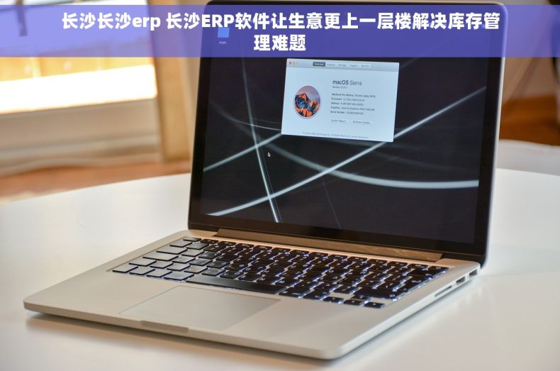 长沙长沙erp 长沙ERP软件让生意更上一层楼解决库存管理难题