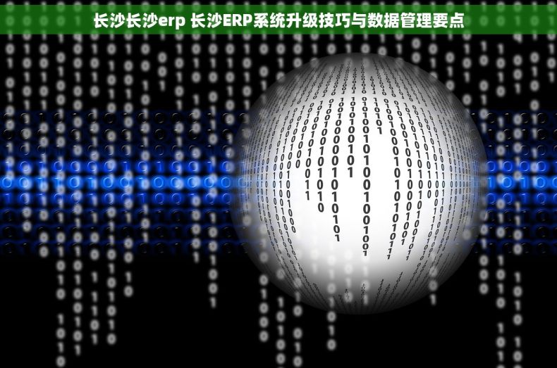 长沙长沙erp 长沙ERP系统升级技巧与数据管理要点