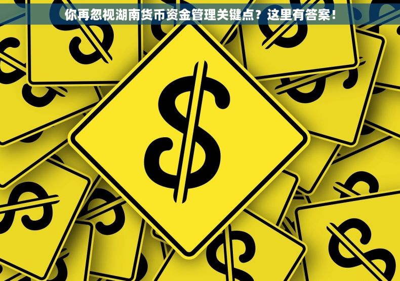你再忽视湖南货币资金管理关键点？这里有答案！