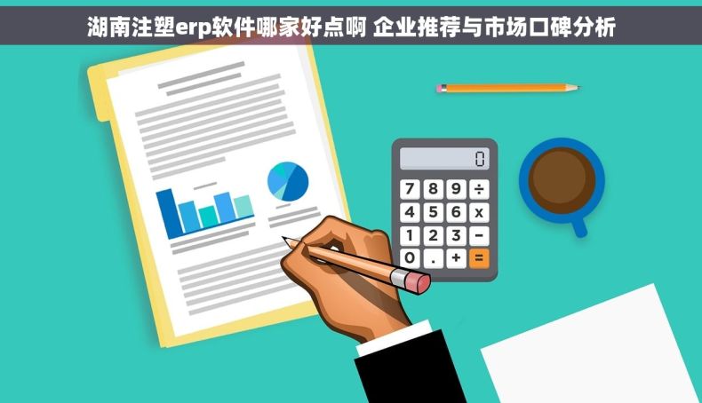 湖南注塑erp软件哪家好点啊 企业推荐与市场口碑分析