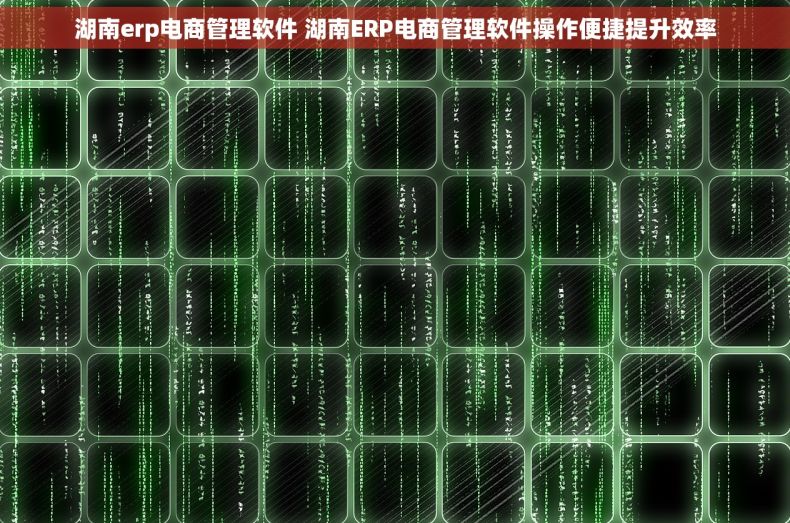 湖南erp电商管理软件 湖南ERP电商管理软件操作便捷提升效率