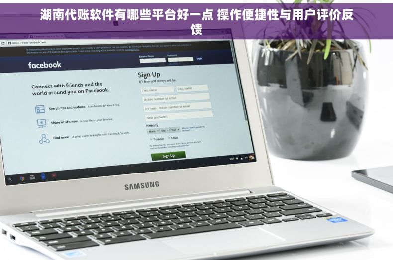湖南代账软件有哪些平台好一点 操作便捷性与用户评价反馈