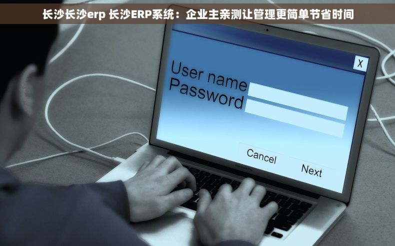 长沙长沙erp 长沙ERP系统：企业主亲测让管理更简单节省时间