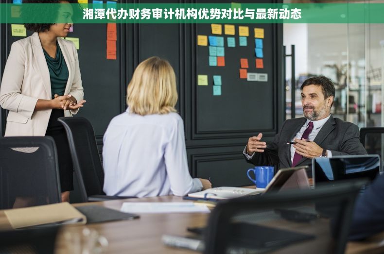 湘潭代办财务审计机构优势对比与最新动态