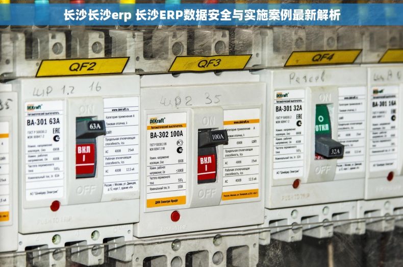 长沙长沙erp 长沙ERP数据安全与实施案例最新解析