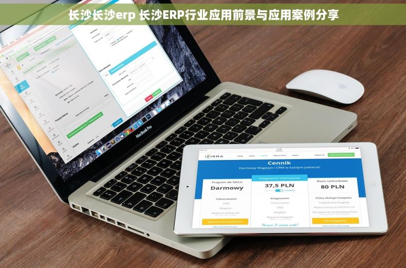 长沙长沙erp 长沙ERP行业应用前景与应用案例分享