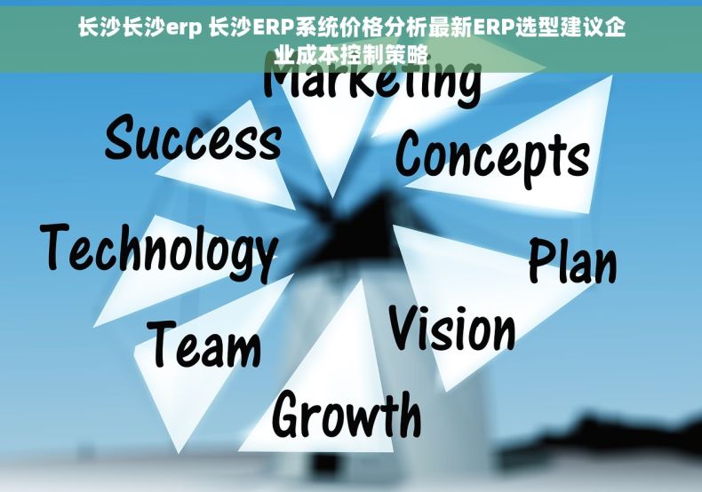 长沙长沙erp 长沙ERP系统价格分析最新ERP选型建议企业成本控制策略