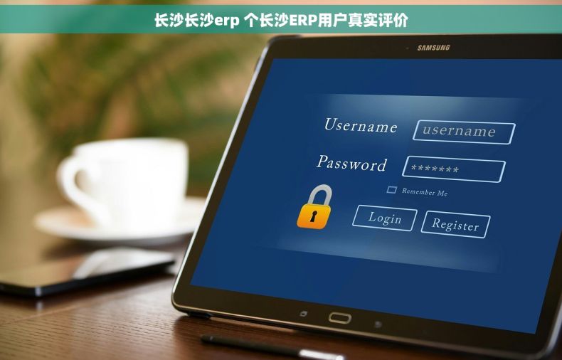 长沙长沙erp 个长沙ERP用户真实评价