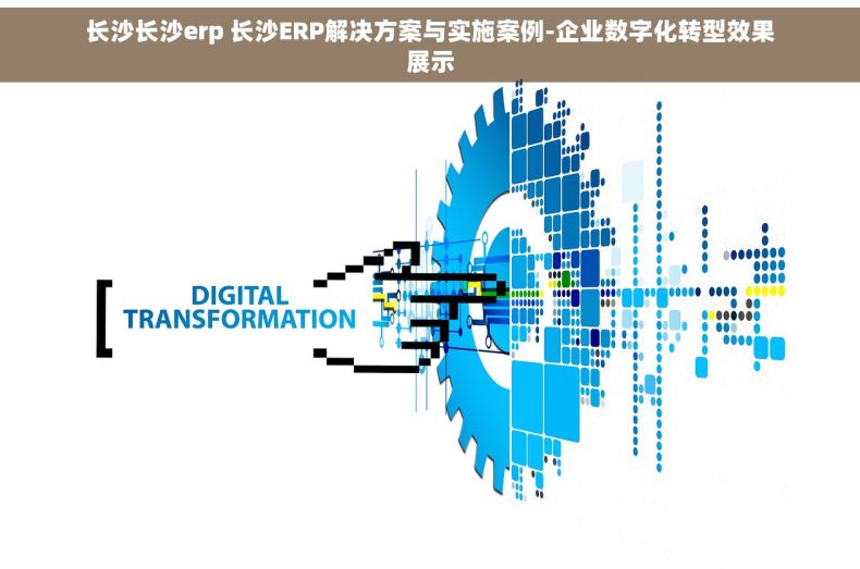长沙长沙erp 长沙ERP解决方案与实施案例-企业数字化转型效果展示