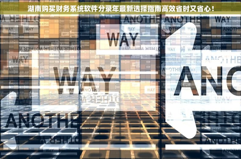 湖南购买财务系统软件分录年最新选择指南高效省时又省心！