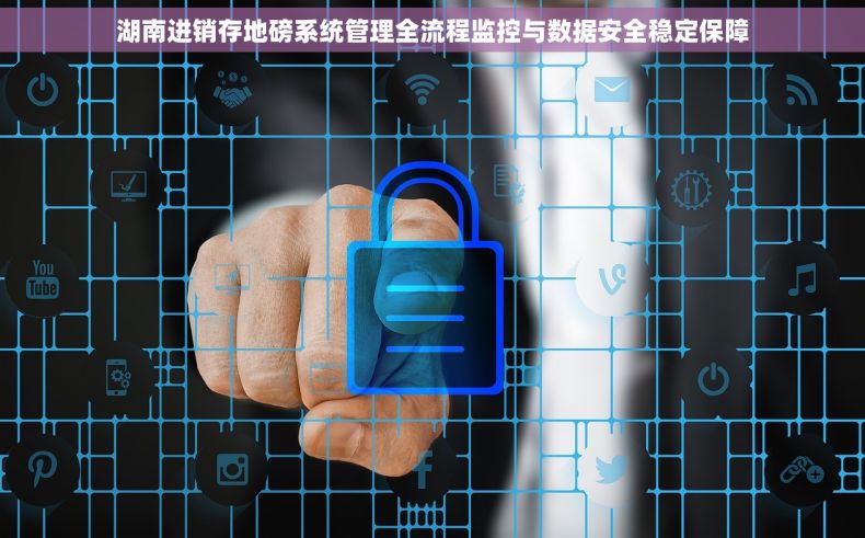 湖南进销存地磅系统管理全流程监控与数据安全稳定保障