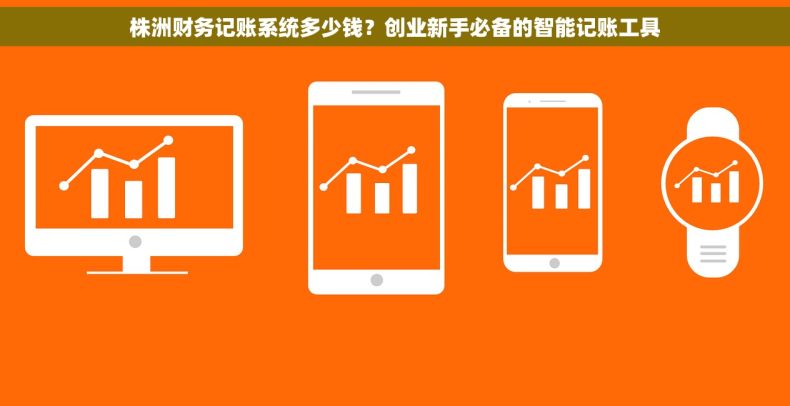 株洲财务记账系统多少钱？创业新手必备的智能记账工具