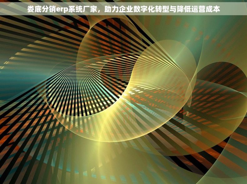 娄底分销erp系统厂家，助力企业数字化转型与降低运营成本