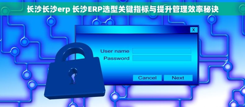 长沙长沙erp 长沙ERP选型关键指标与提升管理效率秘诀