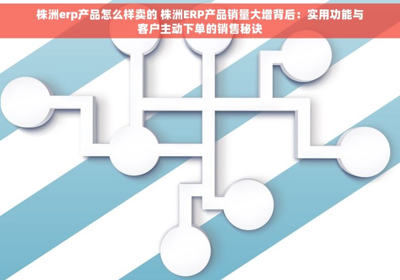 株洲erp产品怎么样卖的 株洲ERP产品销量大增背后：实用功能与客户主动下单的销售秘诀