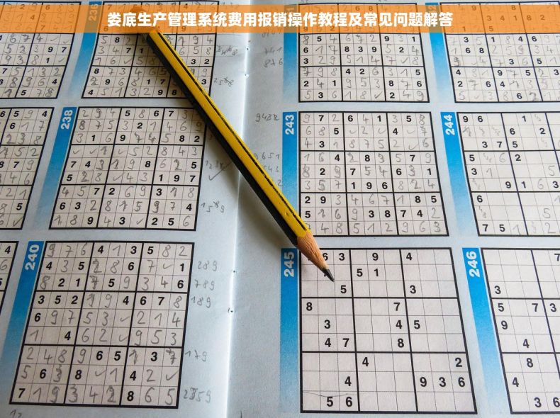 娄底生产管理系统费用报销操作教程及常见问题解答