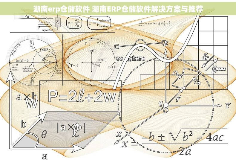 湖南erp仓储软件 湖南ERP仓储软件解决方案与推荐