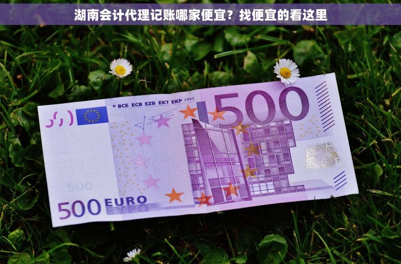 湖南会计代理记账哪家便宜？找便宜的看这里