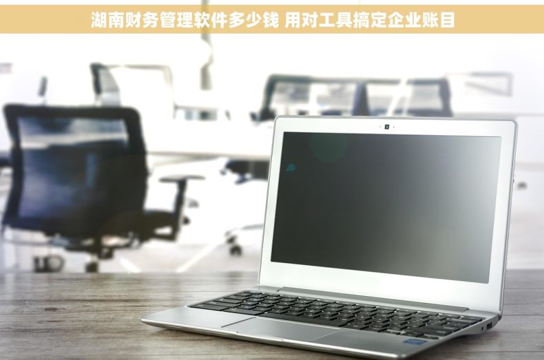 湖南财务管理软件多少钱 用对工具搞定企业账目