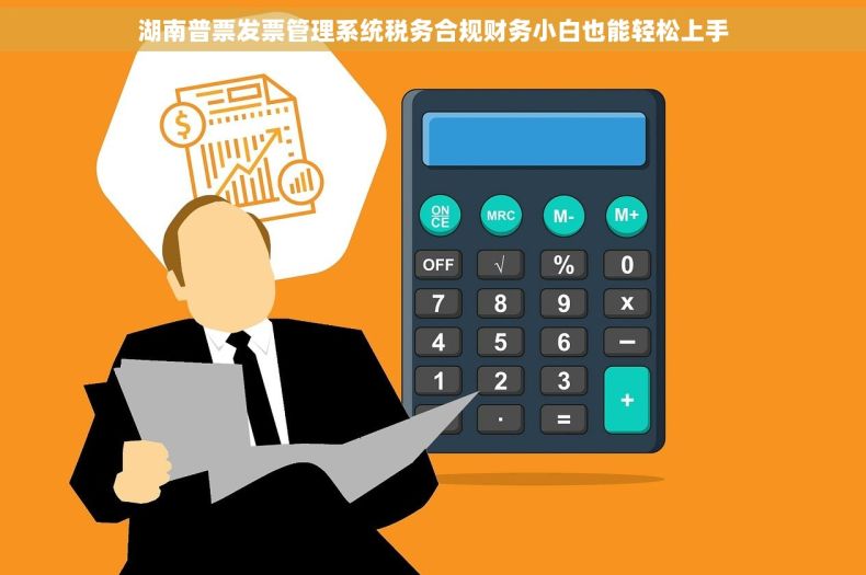 湖南普票发票管理系统税务合规财务小白也能轻松上手
