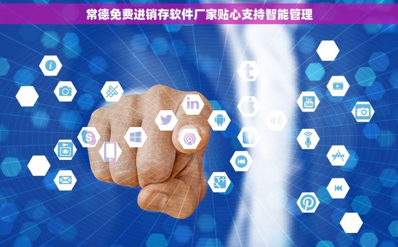 常德免费进销存软件厂家贴心支持智能管理