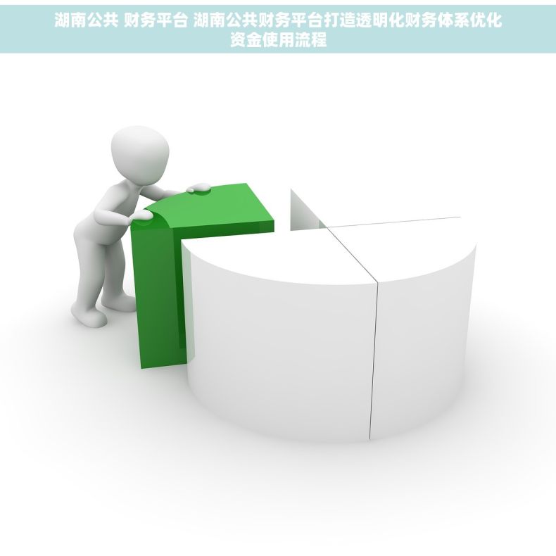 湖南公共 财务平台 湖南公共财务平台打造透明化财务体系优化资金使用流程