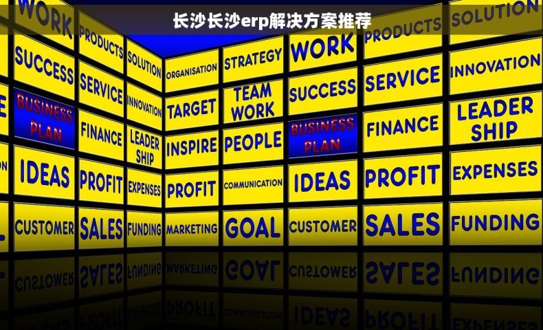 长沙长沙erp解决方案推荐
