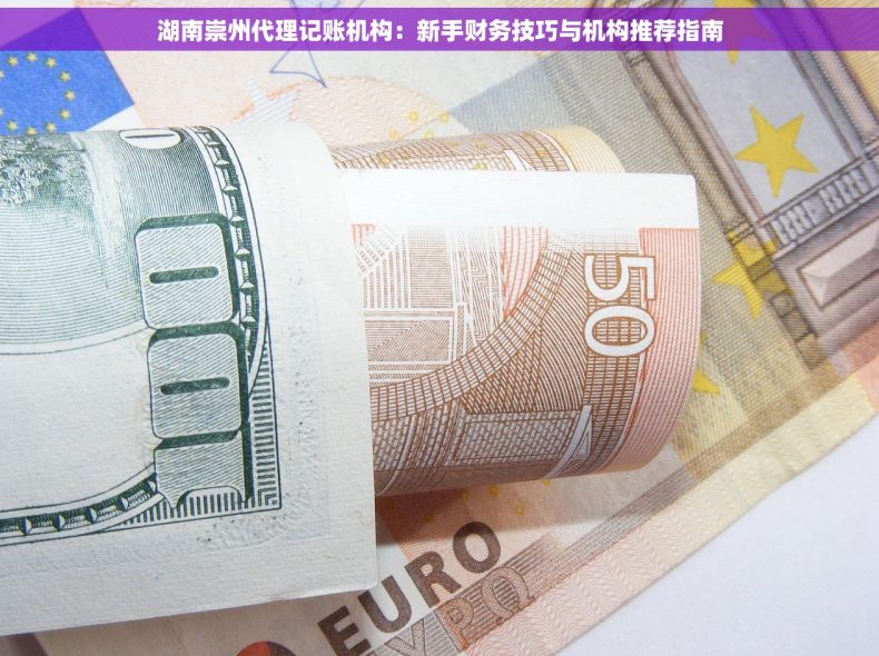 湖南崇州代理记账机构：新手财务技巧与机构推荐指南