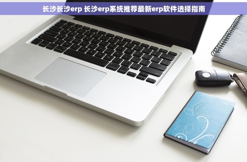 长沙长沙erp 长沙erp系统推荐最新erp软件选择指南
