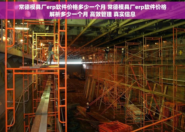 常德模具厂erp软件价格多少一个月 常德模具厂erp软件价格解析多少一个月 高效管理 真实信息
