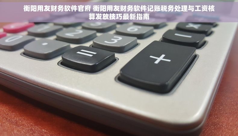 衡阳用友财务软件官府 衡阳用友财务软件记账税务处理与工资核算发放技巧最新指南