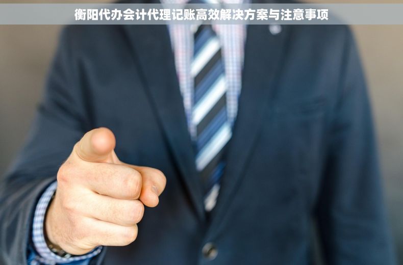 衡阳代办会计代理记账高效解决方案与注意事项