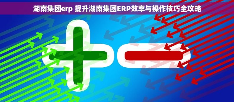 湖南集团erp 提升湖南集团ERP效率与操作技巧全攻略