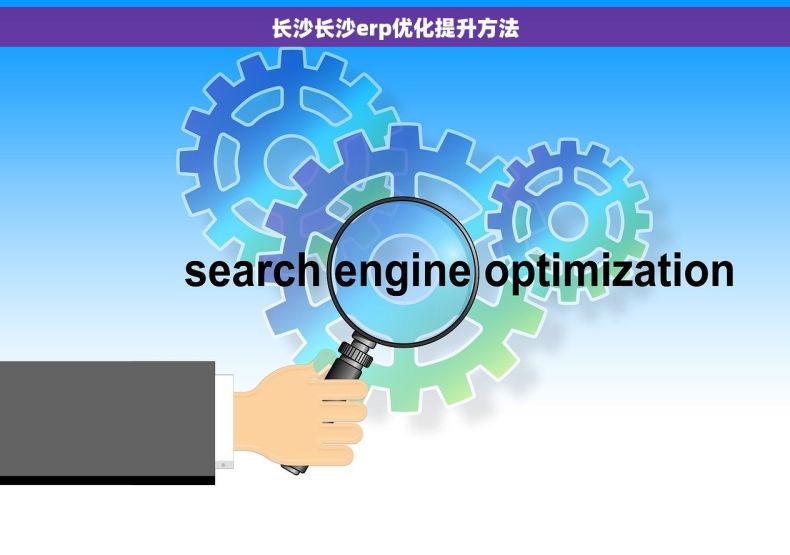 长沙长沙erp优化提升方法