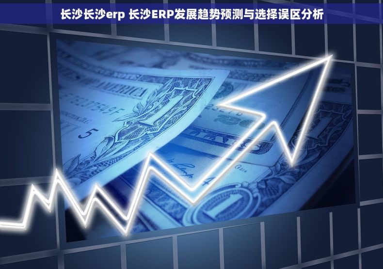 长沙长沙erp 长沙ERP发展趋势预测与选择误区分析