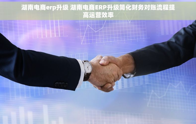 湖南电商erp升级 湖南电商ERP升级简化财务对账流程提高运营效率