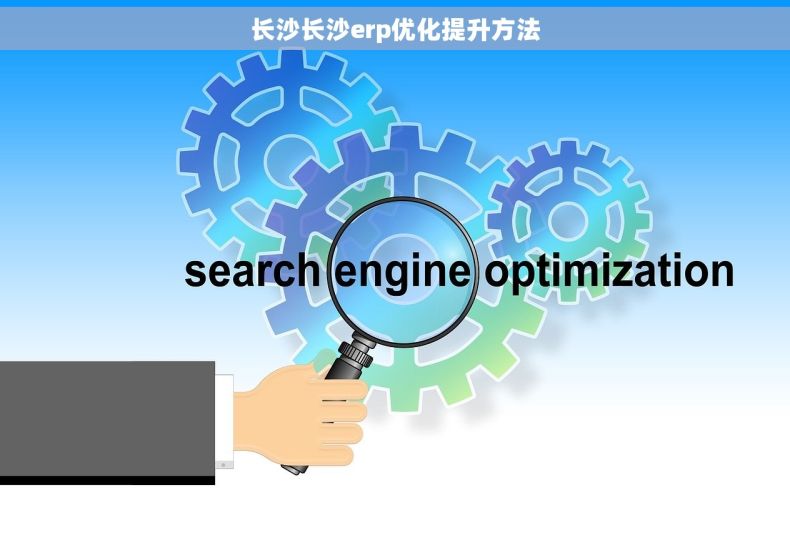 长沙长沙erp优化提升方法