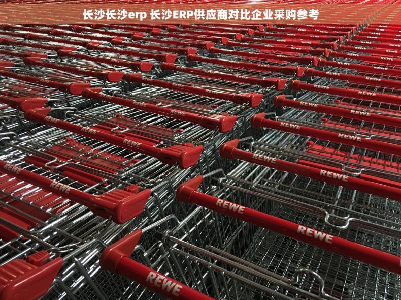 长沙长沙erp 长沙ERP供应商对比企业采购参考
