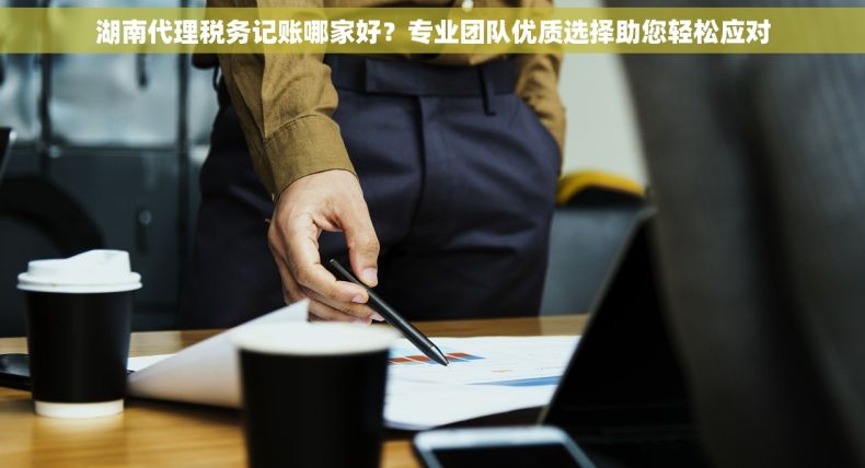 湖南代理税务记账哪家好？专业团队优质选择助您轻松应对