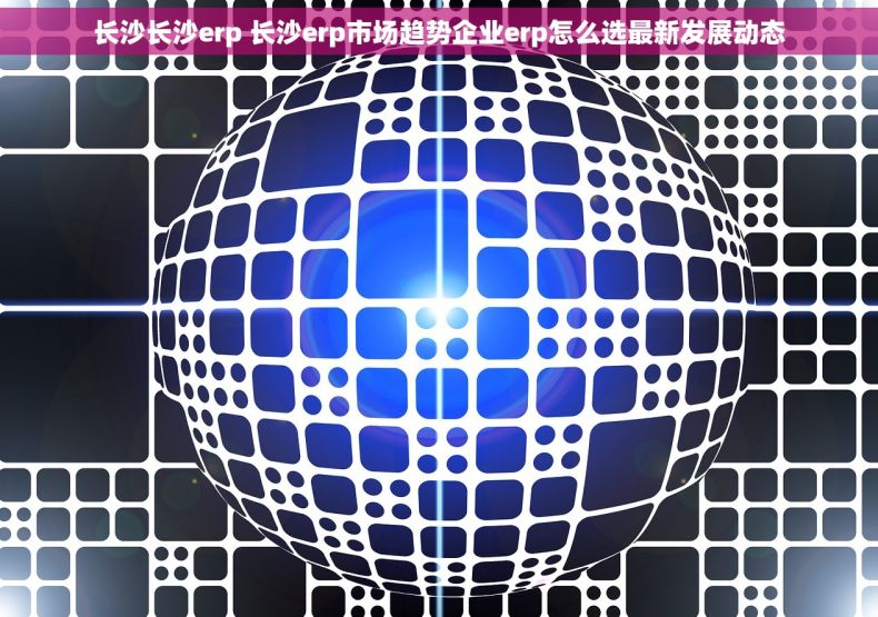长沙长沙erp 长沙erp市场趋势企业erp怎么选最新发展动态
