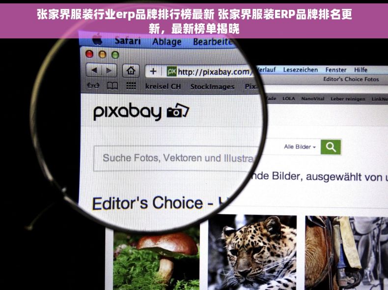 张家界服装行业erp品牌排行榜最新 张家界服装ERP品牌排名更新，最新榜单揭晓