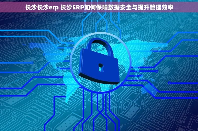 长沙长沙erp 长沙ERP如何保障数据安全与提升管理效率