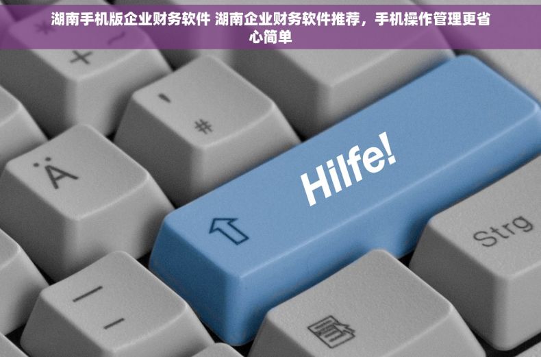 湖南手机版企业财务软件 湖南企业财务软件推荐，手机操作管理更省心简单