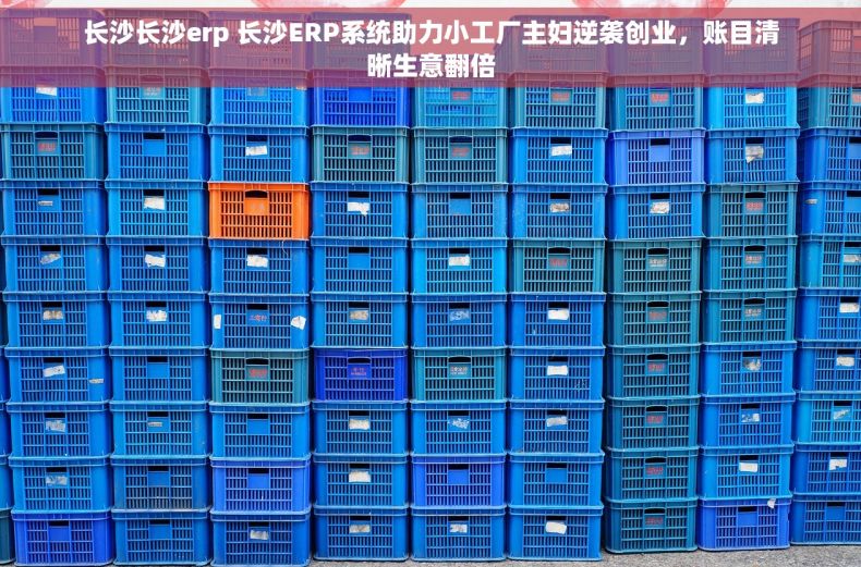 长沙长沙erp 长沙ERP系统助力小工厂主妇逆袭创业，账目清晰生意翻倍