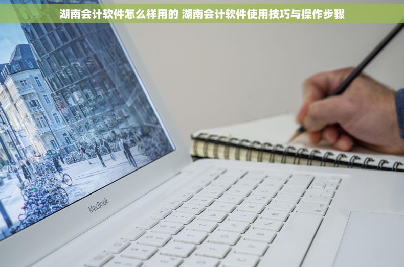 湖南会计软件怎么样用的 湖南会计软件使用技巧与操作步骤