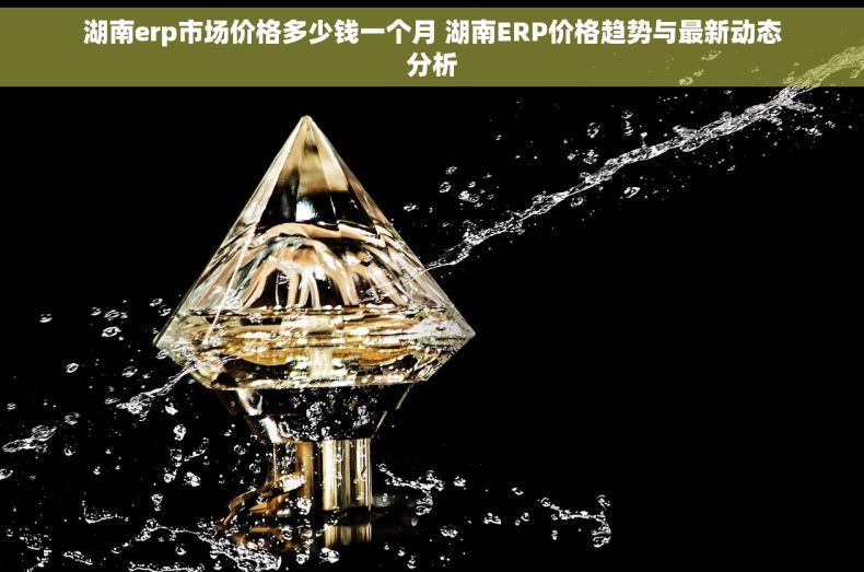 湖南erp市场价格多少钱一个月 湖南ERP价格趋势与最新动态分析
